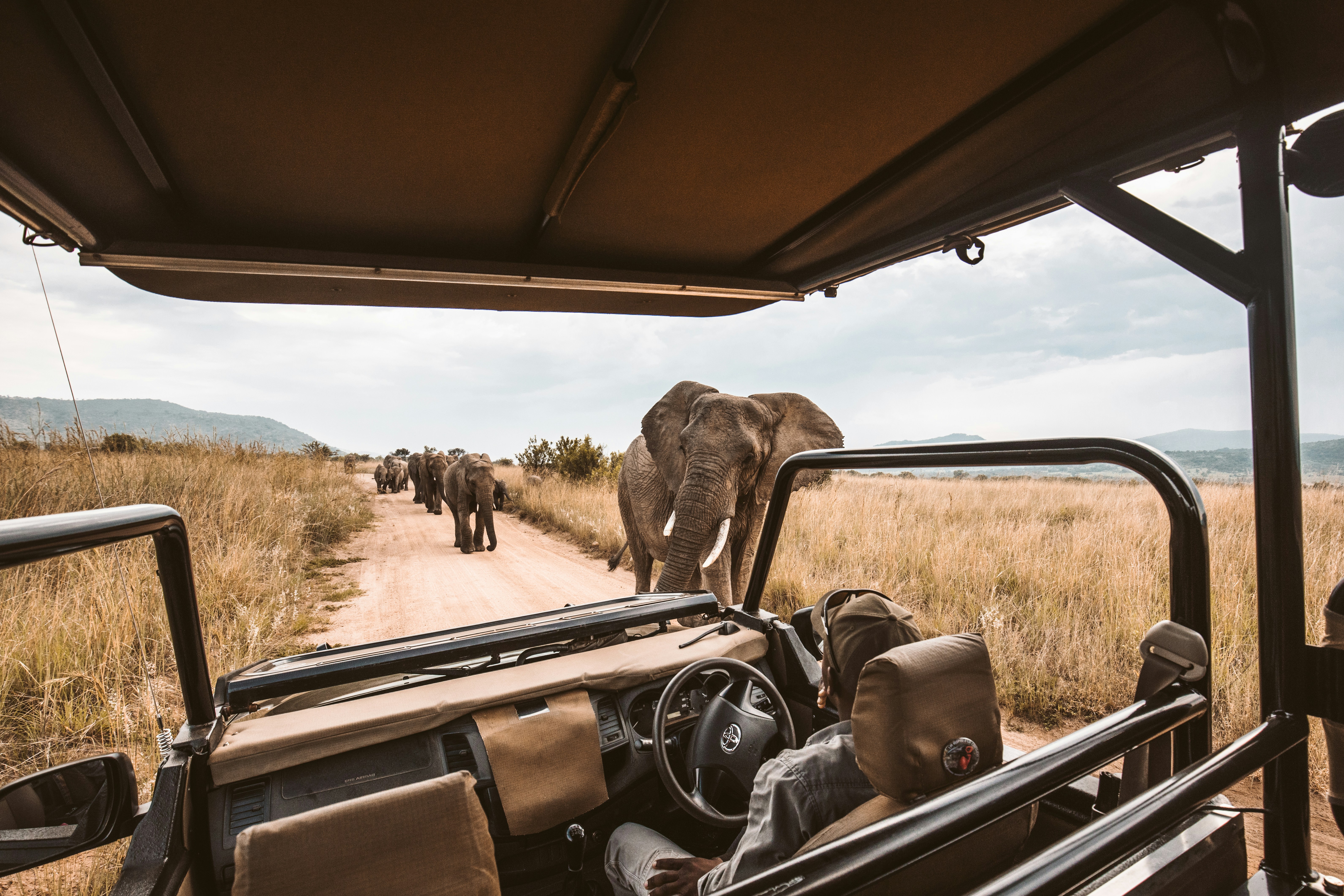 Comfort Safari 3