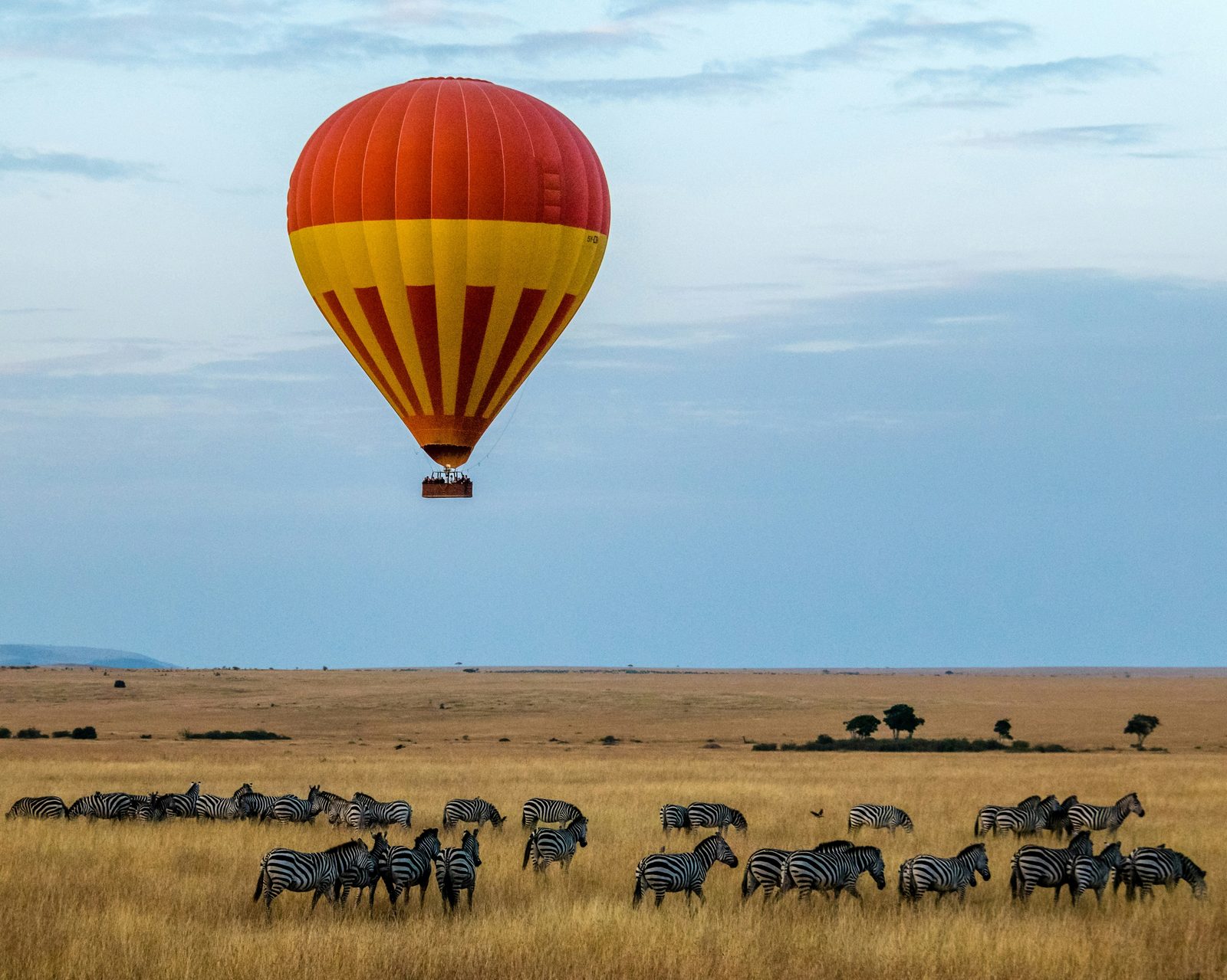 Cultural Safari 1