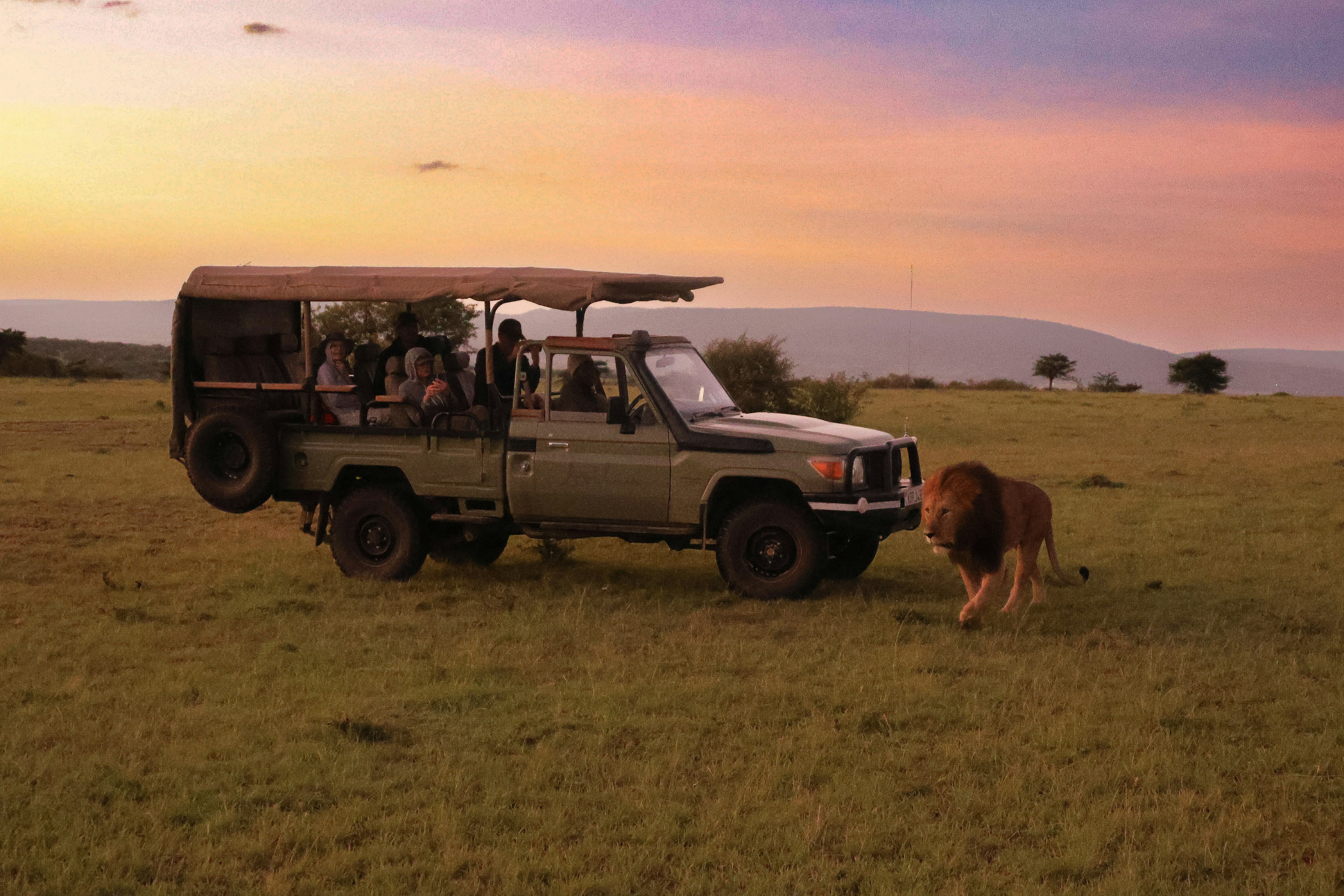 Short Safari 2